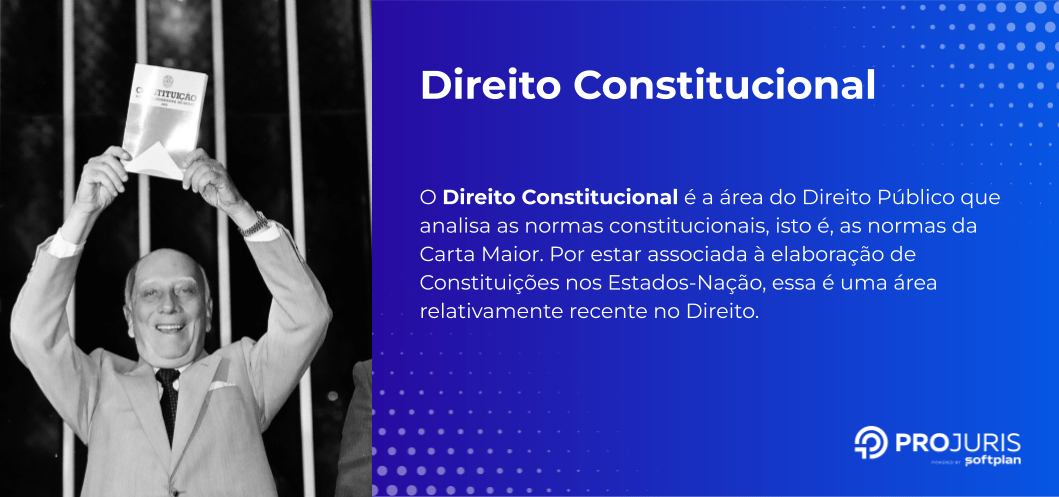 Direito Constitucional Conceito Hist Rico E Princ Pios Fundamentais